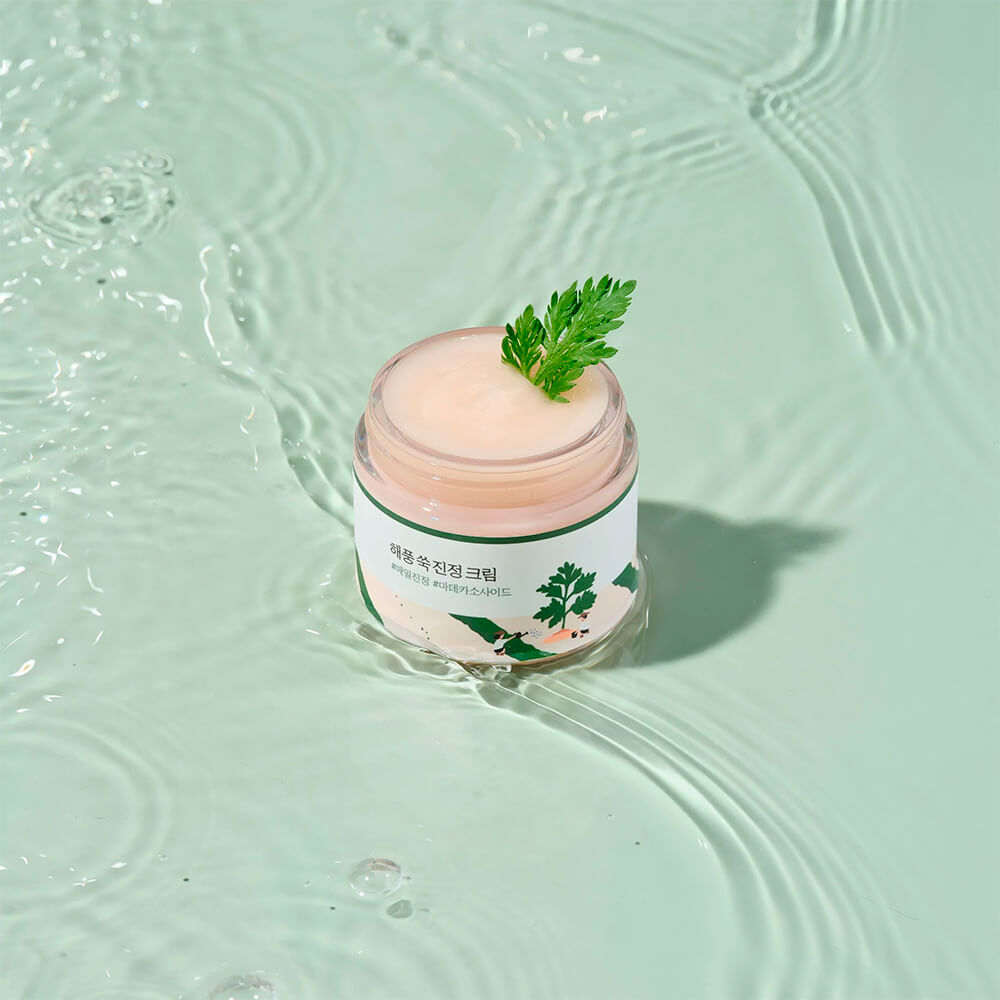 ROUND LAB Лёгкий успокаивающий крем с полынью Round Lab Mugwort Calming Cream 80 мл — фото 2
